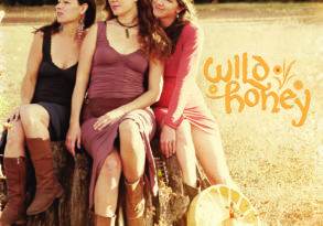 Three women sitting on a log in a sunny field with an antique wheel, dressed in casual, rustic attire, with the text "organic honey" overlaying the image.