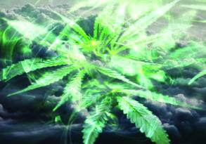 A vivid digital illustration of a cannabis leaf glowing in bright green, superimposed over a dramatic cloudy sky.