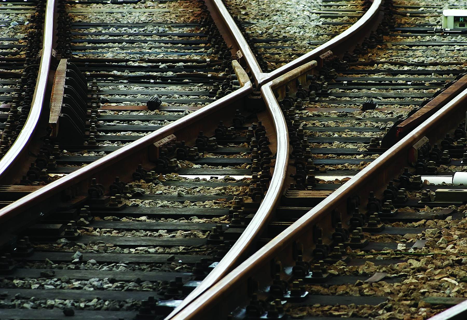 Navigating Change - Common Ground Magazine