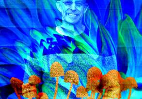 Artistic digital image of a smiling bald man layered with vibrant blue and green patterns and orange mushrooms in the foreground, inspired by Michael Pollan's explorations of perception.