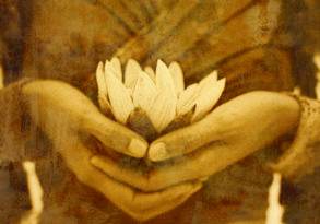 A close-up of a person's hands gently holding a white lotus flower, symbolizing innocence, with a textured, sepia-toned artistic effect.