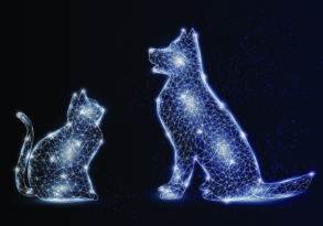 Digital illustration of a geometric cat and dog, showcasing animal telepathy, composed of glowing blue lines and dots against a starry night sky background.