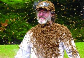 A man wearing a bee beard, with bees densely covering his hat, glasses, and shoulders, smiles standing outdoors, embodying a vision of coexistence with nature.
