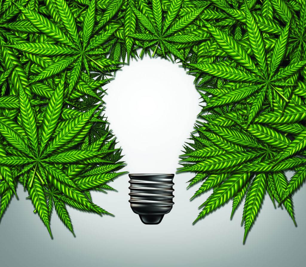 Marijuana thinking and cannabis creativity or consumer symbol as a light bulb shape made of weed leaves as a pot or herbal medicine patient and effects on psychology or drug dealer concept with 3D illustration elements.