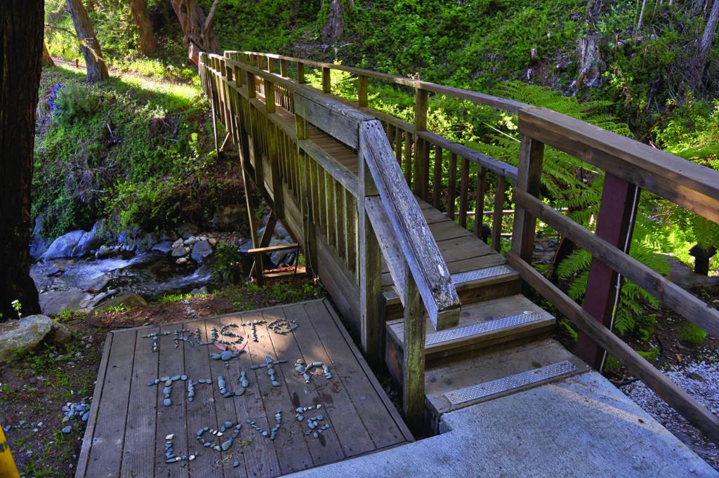 wooden bridge over the river