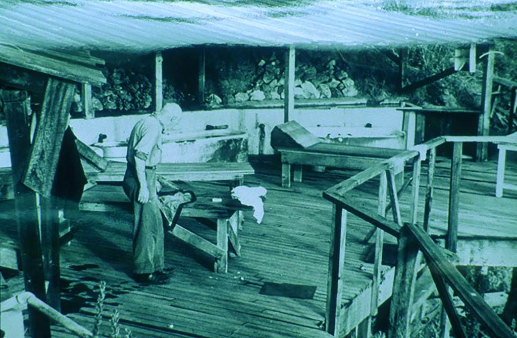 Henry Miller at Esalen Hot Springs